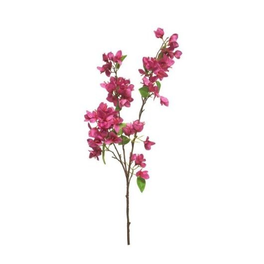 Bougainvillea roze